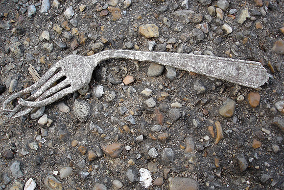 Fork in the Road