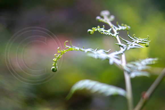 Unravel